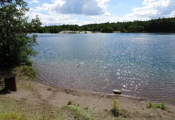 Pliggebo